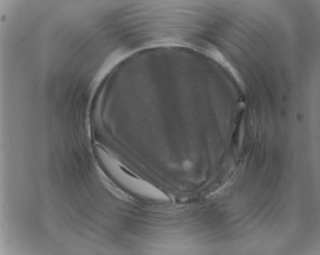X0000070251372200606231957