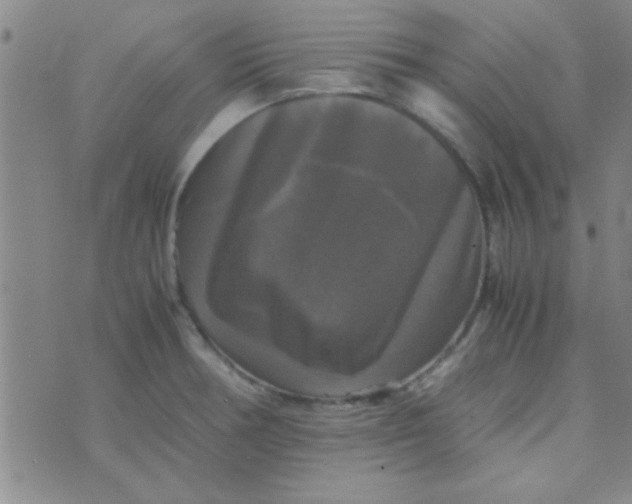 X0000070251378200606231957