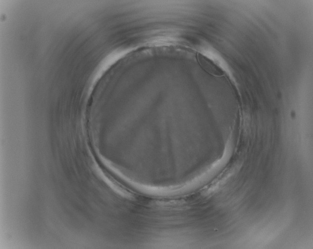 X0000070251429200606231956