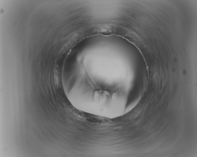 X0000070251442200606231956