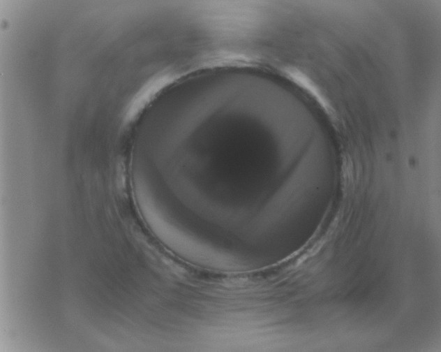 X0000070251455200606231956