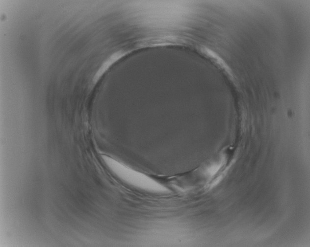 X0000070251457200606231956