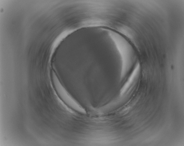X0000070251472200606231955