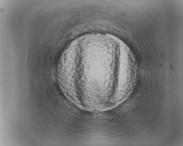 X0000070251490200606231954