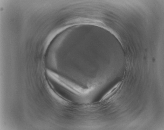 X0000070251531200606231955