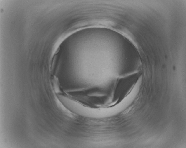 X0000070251532200606231955