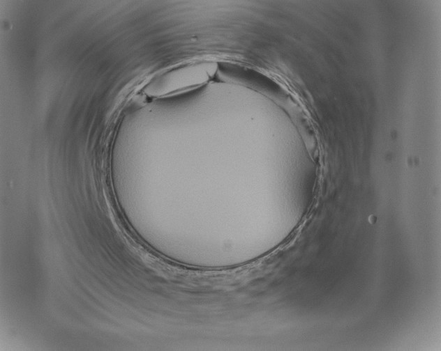 X0000070250001200606301637