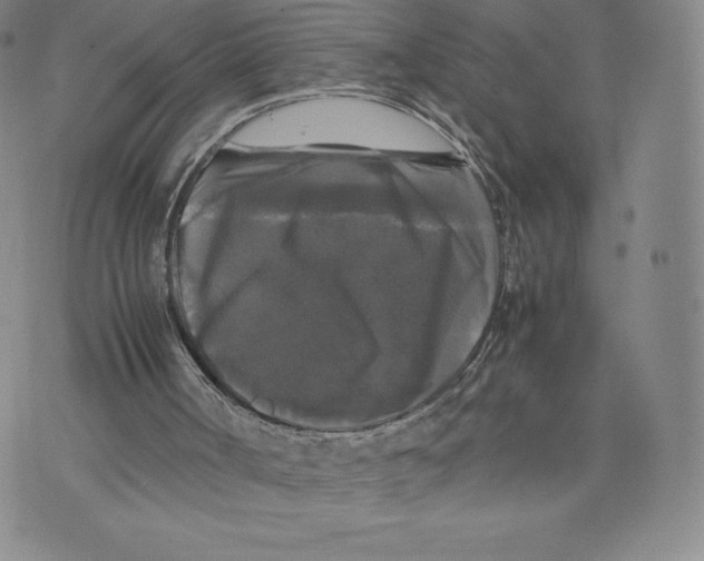 X0000070250002200606301637