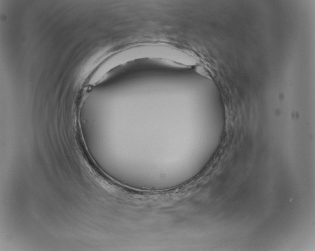 X0000070250005200606301637