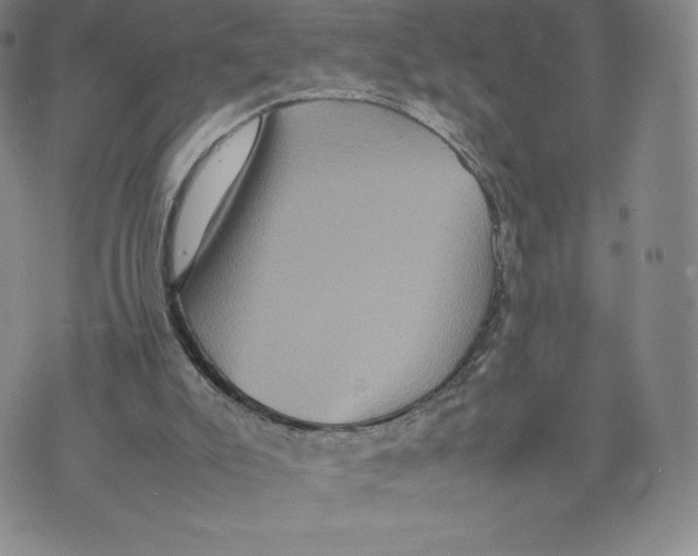 X0000070250007200606301637