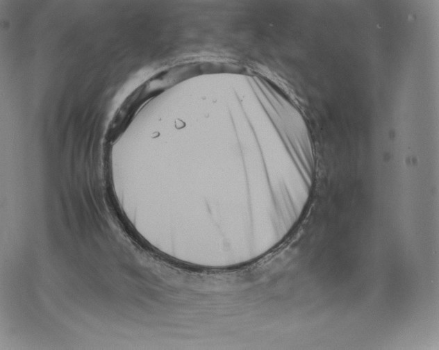 X0000070250008200606301637