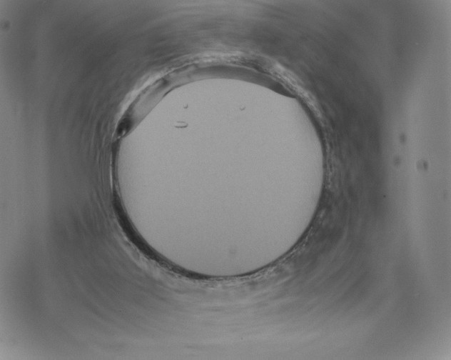 X0000070250011200606301637