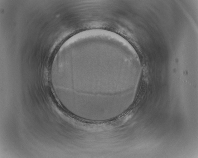 X0000070250012200606301637