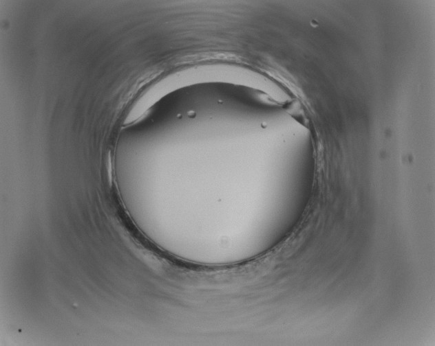 X0000070250013200606301637