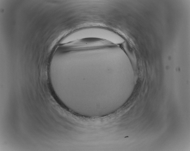 X0000070250015200606301637