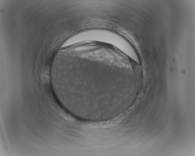 X0000070250017200606301637