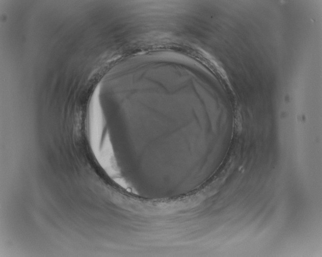 X0000070250018200606301637