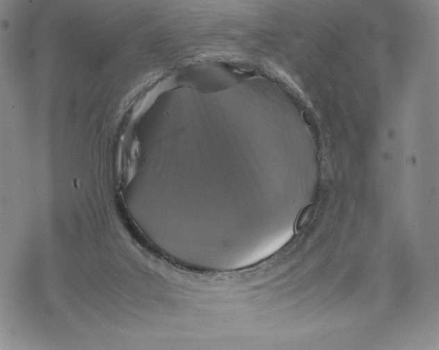 X0000070250019200606301637