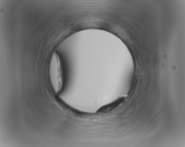 X0000070250021200606301637