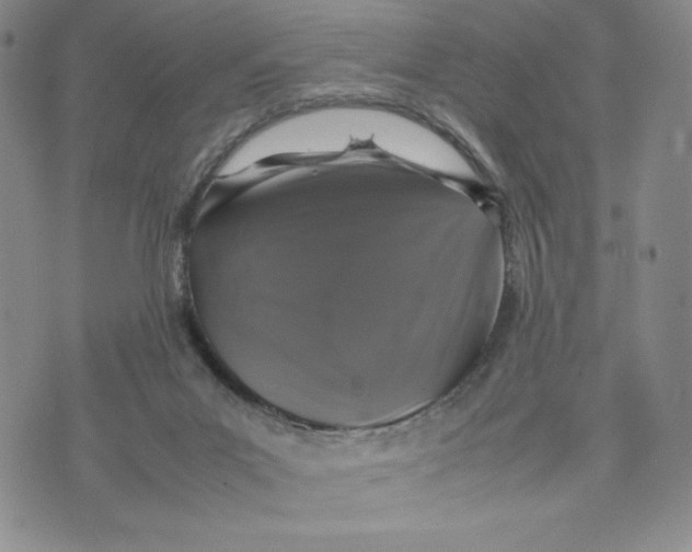 X0000070250023200606301637