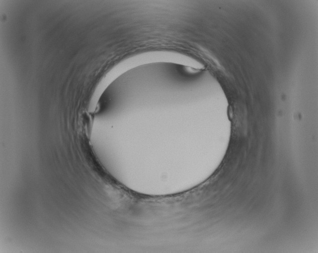 X0000070250025200606301637