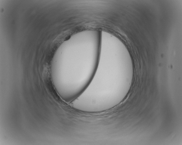 X0000070250029200606301637