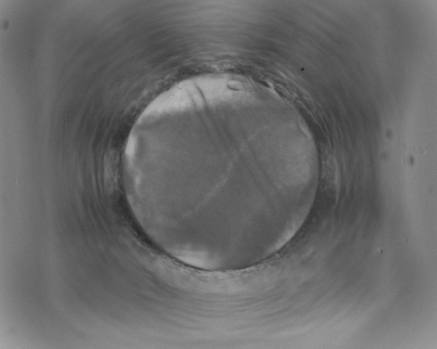 X0000070250030200606301637