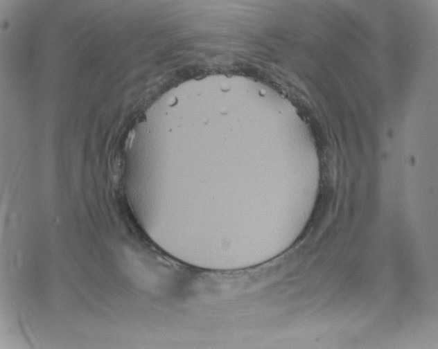 X0000070250033200606301637