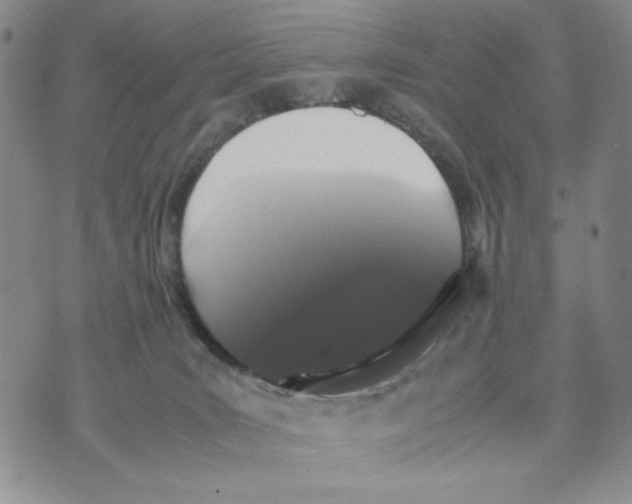 X0000070250035200606301637