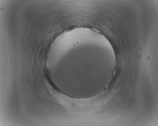 X0000070250039200606301637