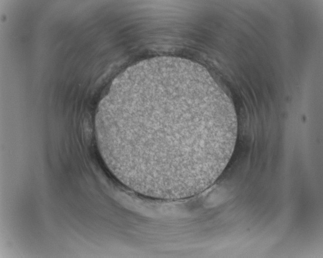 X0000070250040200606301637