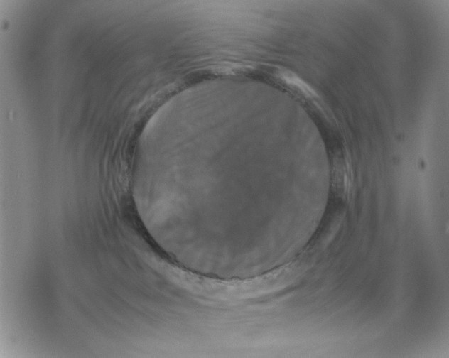 X0000070250043200606301637