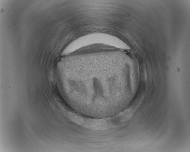 X0000070250044200606301637