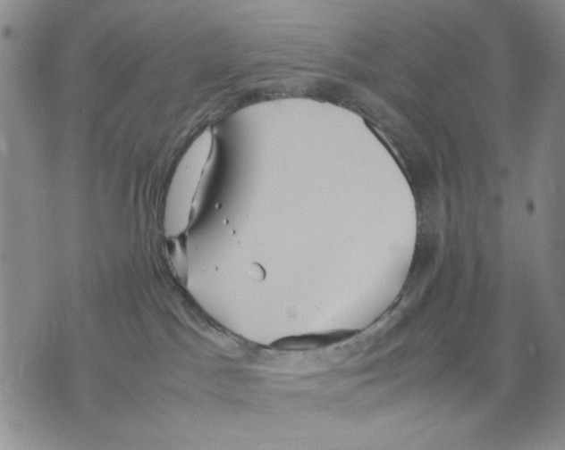 X0000070250045200606301637