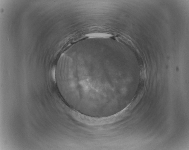 X0000070250047200606301637