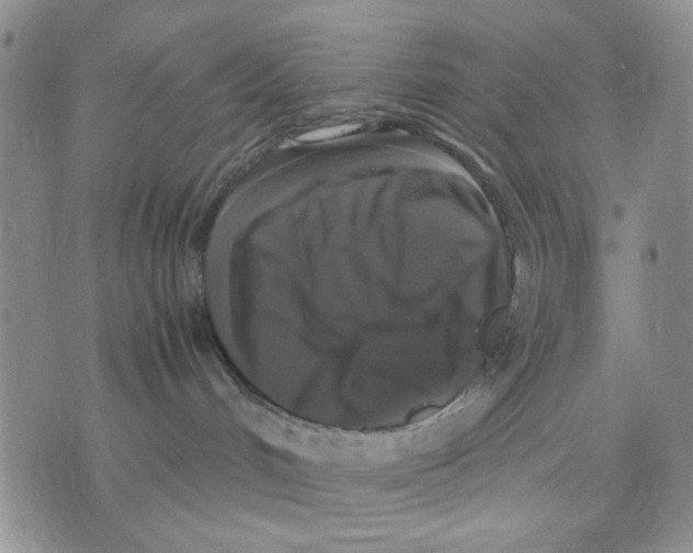 X0000070250048200606301637