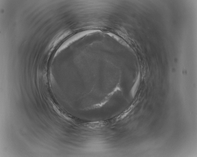 X0000070250050200606301636