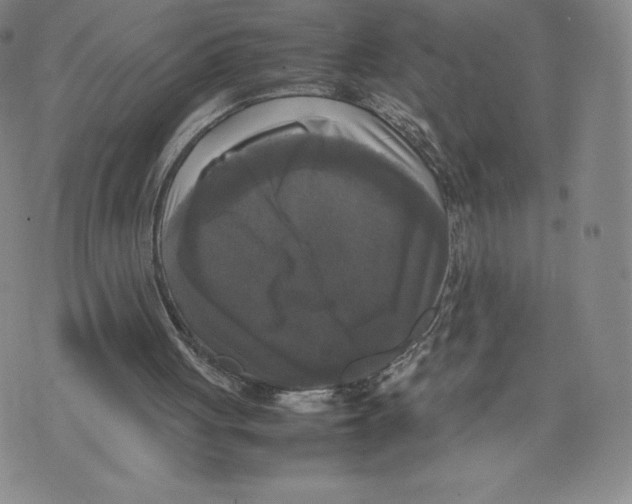 X0000070250051200606301636