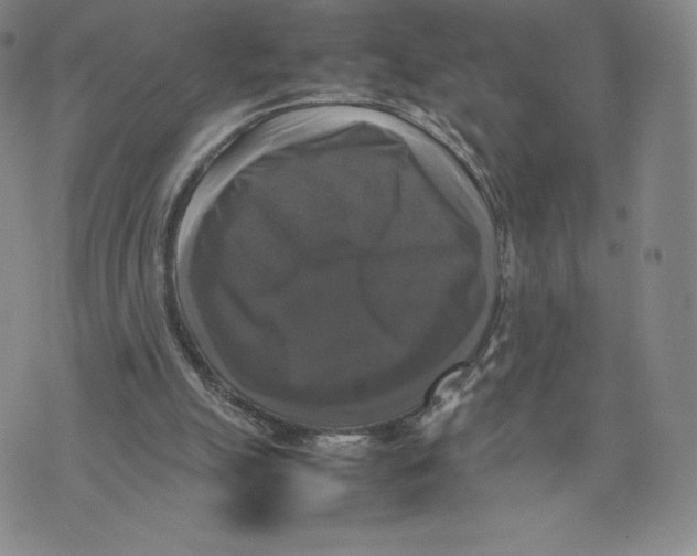 X0000070250055200606301636