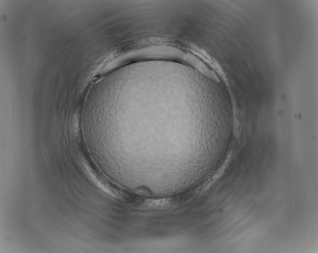 X0000070250057200606301636