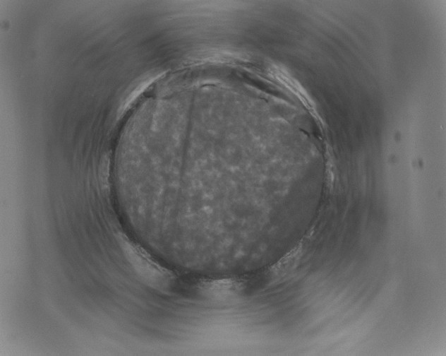 X0000070250058200606301636