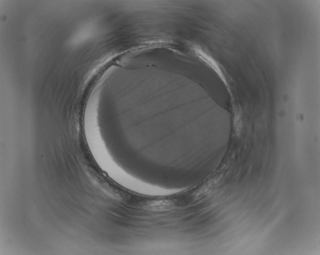 X0000070250059200606301636