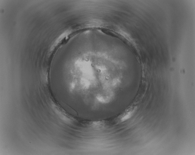 X0000070250060200606301636