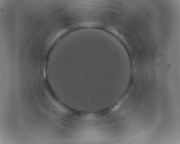 X0000070250062200606301636