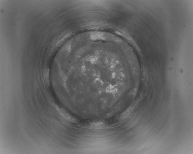 X0000070250066200606301636