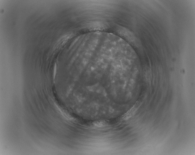 X0000070250070200606301636