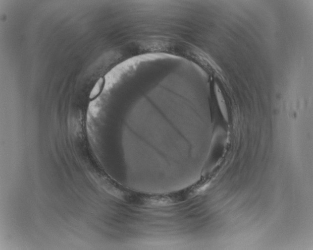 X0000070250073200606301636