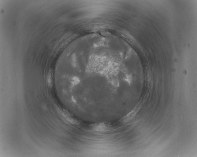 X0000070250074200606301636