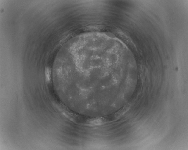 X0000070250075200606301636