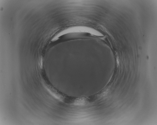 X0000070250076200606301636